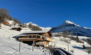 Bachsbort 14 4- Bett Wohnung Parterre, freie Sicht auf Eiger